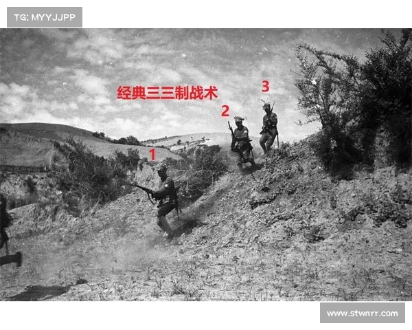 捷克志愿者团队揭秘双语学生担任中葡战场关键联络岗位角色 捷克志愿者团队揭秘双语学生担任中葡战场关键联络岗位角色